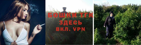 соль ск Вяземский