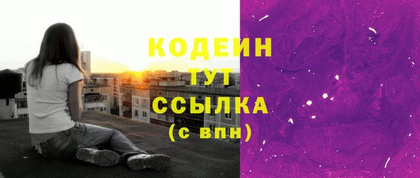 соль ск Вяземский