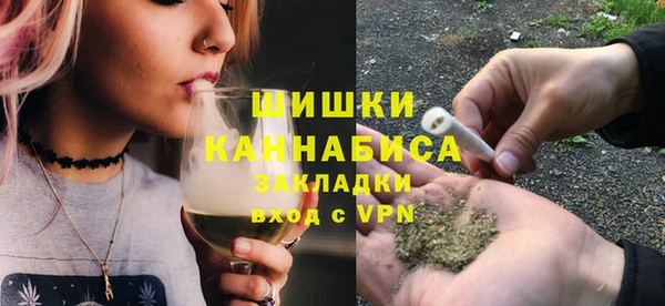 соль ск Вяземский